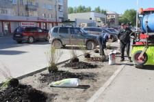 Озеленение улицы Коммуны