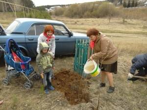 Посадка деревьев в память погибшим воинам