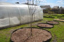 Усадьба Анастасии Мухлыниной