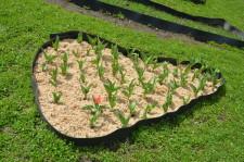 Усадьба Анастасии Мухлыниной 