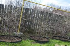 Усадьба Анастасии Мухлыниной