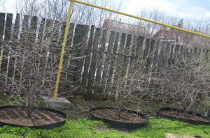 Усадьба Анастасии Мухлыниной