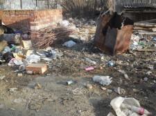 Мусор в Черданцеве