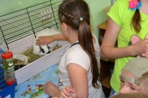 Мини-зоопарк в ЦДТТ