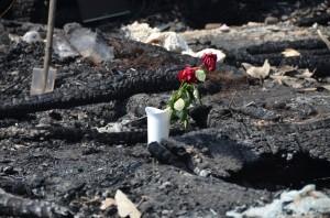 Розы на месте гибели Виктора Суровцева