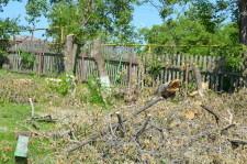 Детский сад №38