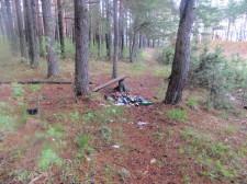 Мусор в лесу