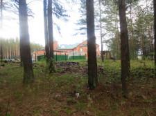 Мусор в лесу