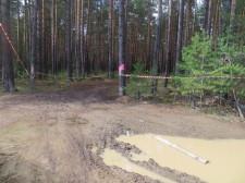 Мусор в лесу