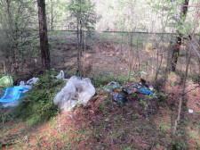 Мусор в лесу