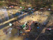 Мусор в лесу