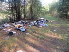 Мусор в лесу