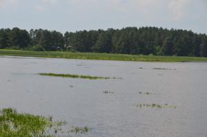 Никольский пруд