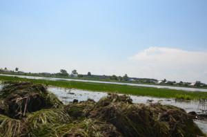 Никольский пруд