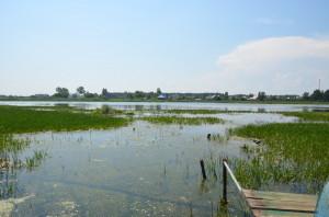 Никольский пруд