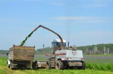 Посевная в Щелкуне 2015