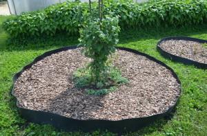 Усадьба Анастасии Мухлыниной