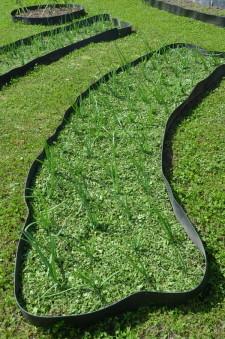 Усадьба Анастасии Мухлыниной