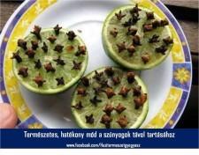 Лимон с гвоздикой