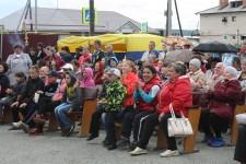 День Большого Седельникова