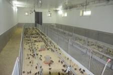 Фермеры Баклыковы