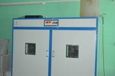 Фермеры Баклыковы7