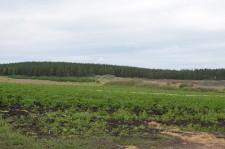 Фермеры Даниловы