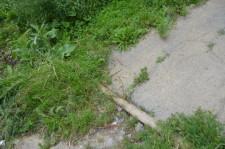 шланг из инфекционного отделения