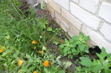 шланг из инфекционного отделения