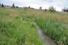 Лужа возле ЦРБ