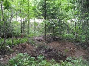 Одиночная стрелковая ячейка-окоп, где были найдены останки Клопина