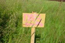 Земля Бирюковой