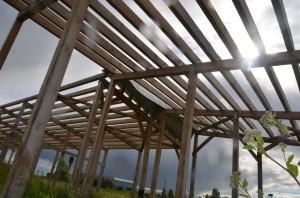 Земля Бирюковой