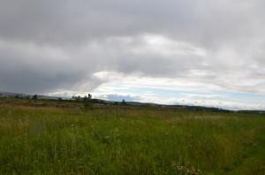 Земля Бирюковой