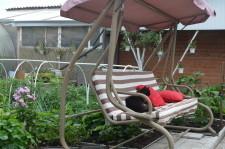 усадьба Скипы