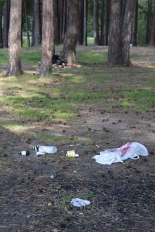 Чистый берег