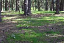 Чистый берег