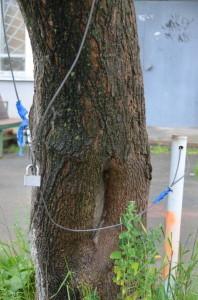 Самоуправство во дворе