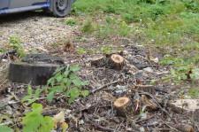 Самоуправство во дворе