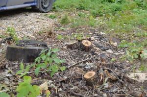 Самоуправство во дворе