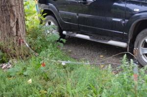 Самоуправство во дворе