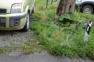 Самоуправство во дворе