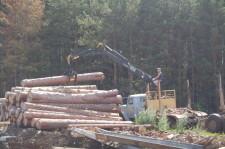 Строится семейная ферма Бондарева