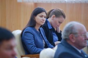 Свеженцева Заседание думы