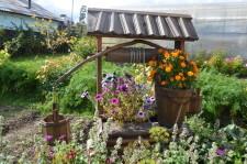 усадьба Узких