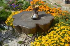 усадьба Узких