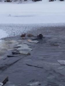 Александр нырнул в воду