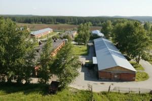 Госплемптицезавод «Свердловский»