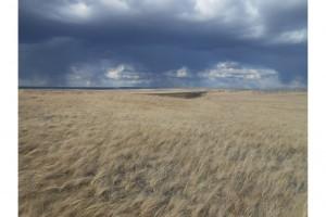 1 место в старшей группе в номинации "Пейзаж" - Андрей Соколов "Перед дождем"