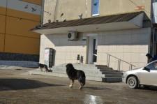 Магазин "Ксения"